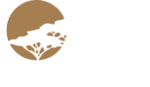 The Zambia Safari Company