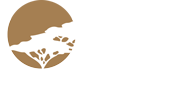 The Zambia Safari Company