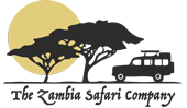 The Zambia Safari Company